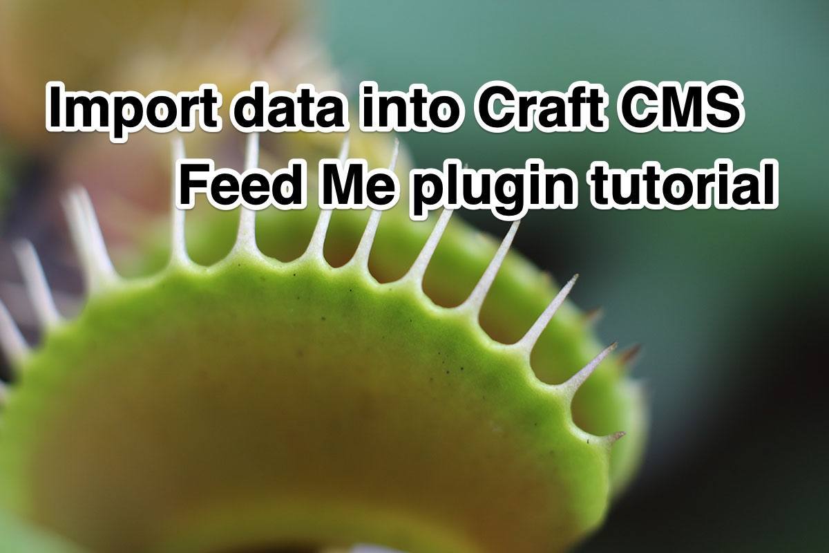Import data into Craft CMS, Feed Me plugin tutorial - EaglePeak Consulting